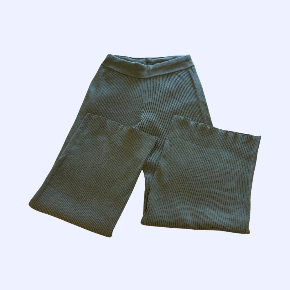 Aerie Gotta Jet! High Waisted Skater Pants, Green, Size L